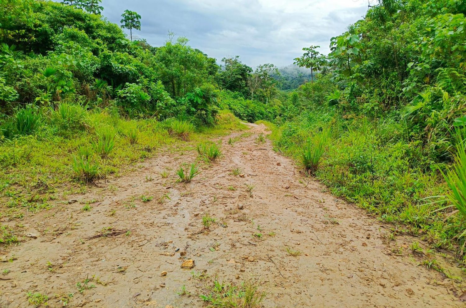 Socialización del proyecto de apertura y lastrado del camino vecinal Llawkana–Hollín al Para